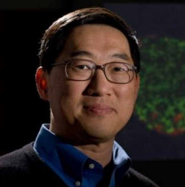 Seung K. Kim, MD, PhD
